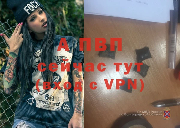 apvp Арсеньев