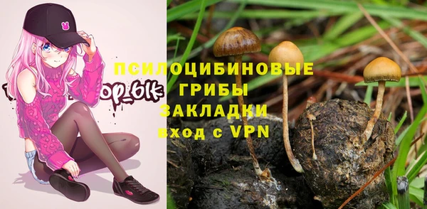apvp Арсеньев