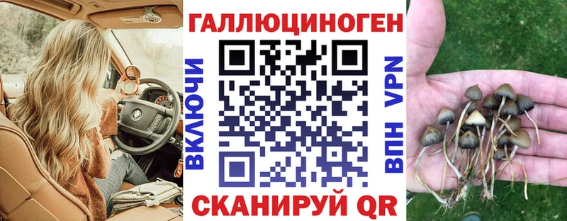 Псилоцибиновые грибы ЛСД  Ясногорск 
